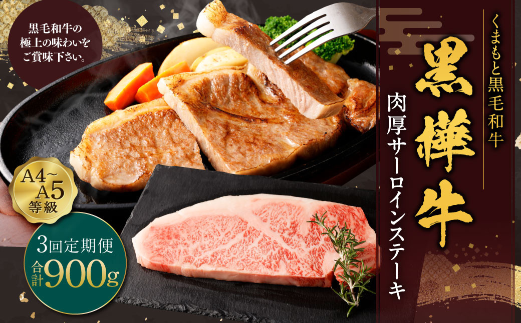 
            【3回定期便】黒樺牛 肉厚サーロインステーキ 約300g×1パック 計約900g 肉厚 サーロイン ステーキ サーロインステーキ 黒毛和牛 和牛 牛肉 牛
          