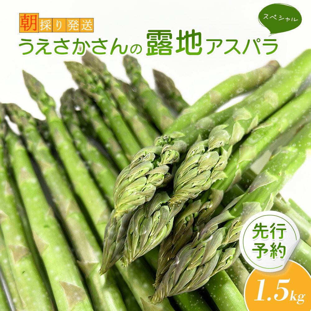 【ふるさと納税】【2026年 先行予約！】【朝採り発送】 うえさかさんの露地アスパラ スペシャル 1.5kg 5月中旬発送 アスパラ 北海道 期間限定 朝採り 露地アスパラ 野菜 サラダ ふるさと納税 オンライン申請 羽幌町 羽幌【20101】