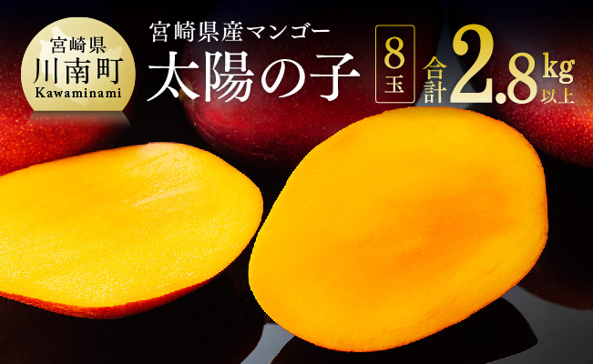
                  【令和8年発送】宮崎マンゴー 太陽の子８玉（2.8kg以上） 【 果物 フルーツ マンゴー 宮崎県産 みやざきマンゴー 】
                