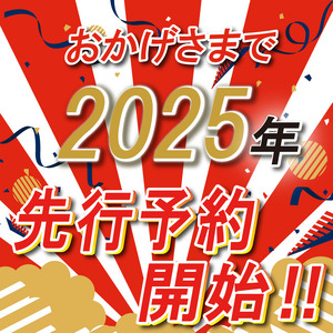 【2025年先行予約】日本一のいちご生産量を誇るJAはが野が厳選 とちおとめ、とちあいか食べ比べ平パック4P | 栃木県 下野市 送料無料