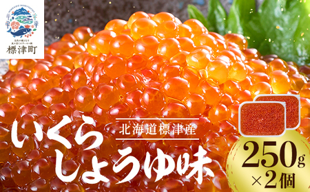 いくら・しょうゆ味・標津産　250g×2個 イクラ 北海道 人気 おすすめ さけ 魚卵 天然 海産物_いくら いくら醤油漬け 冷凍 小分け 鮭 鮭卵 国産 本場 北海道産_【配送不可地域：離島】【1176414】