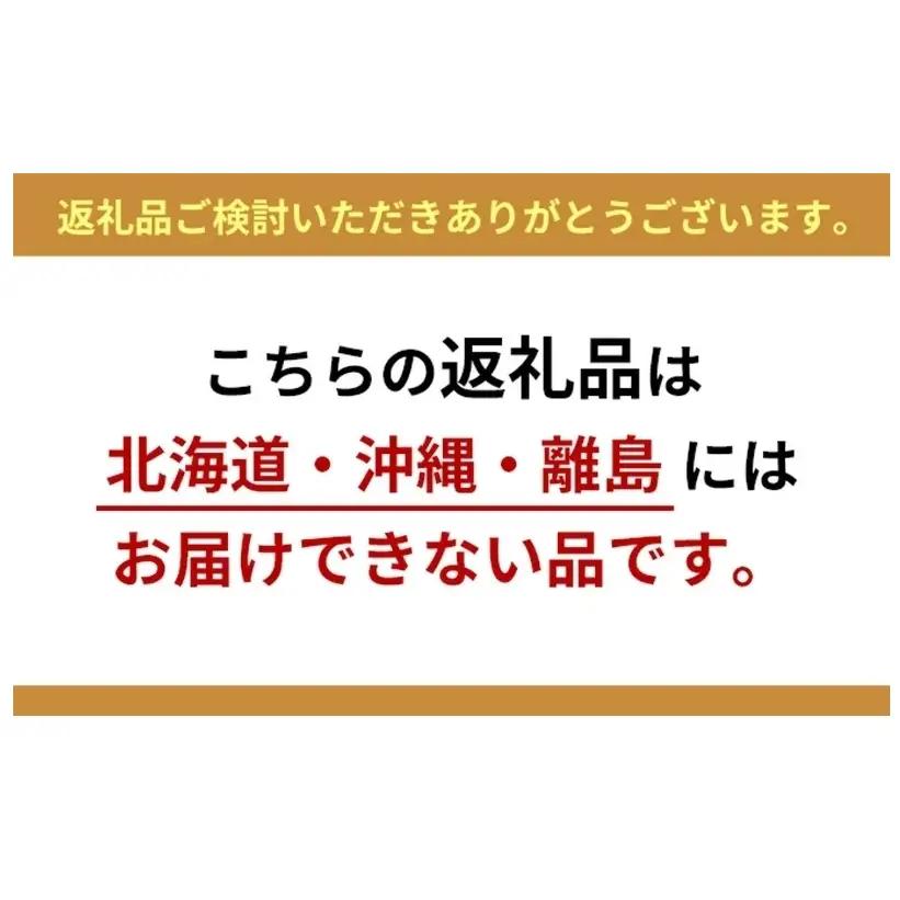 ＜ R8年産 先行予約 ＞定期便 全12回 米 ハツシモ 「高橋米」 白米 10kg×1袋 令和8年産 10キロ お米 精米 ご飯 はつしも ブランド米 大粒 炊飯 お弁当 ふっくら お取り寄せ 送料