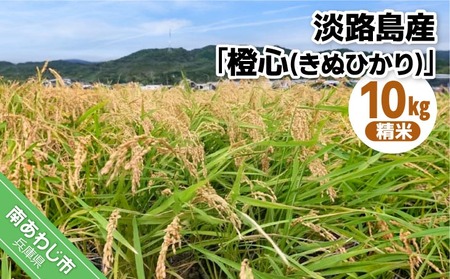 令和８年度産 新米 淡路島産「橙心(きぬひかり)」　精米10kg　◆配送9月末～