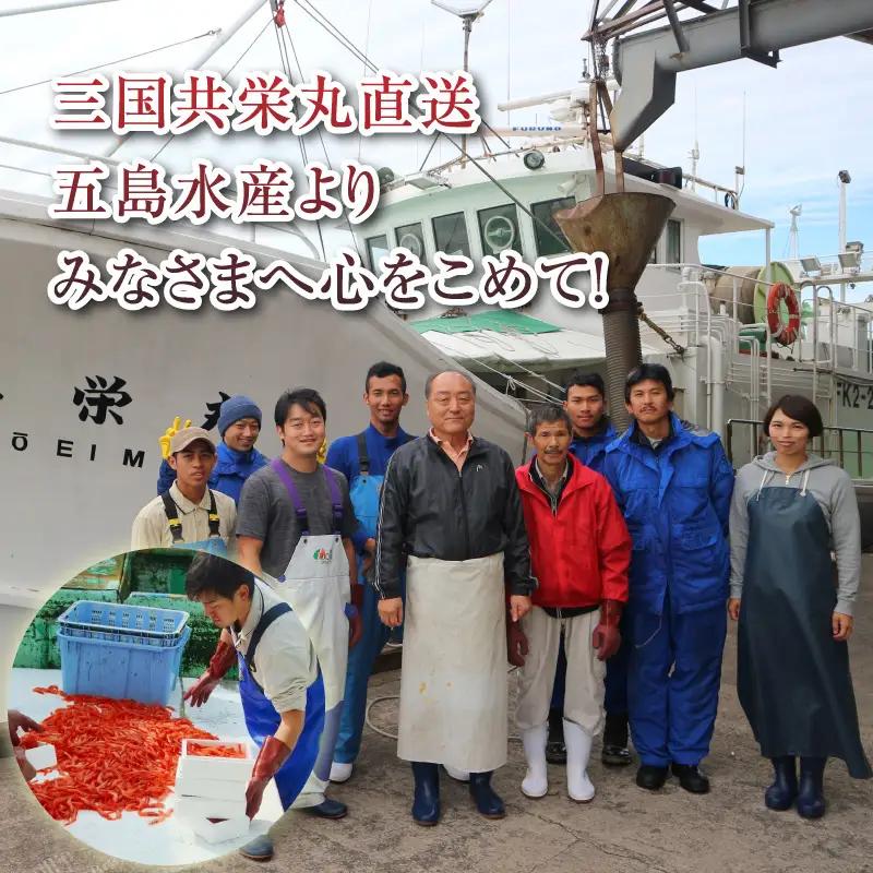 甘エビ 2.75kg (550g×5箱) 中サイズ エビ 冷凍 大容量 [C-2305]