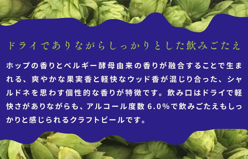 クラフトビール 裏通りのドンダバダ 48本 泉佐野市ふるさと納税オリジナル