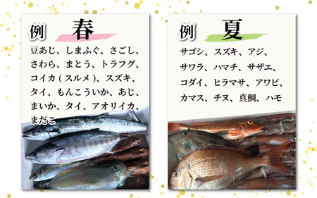 【定期便　隔月２回】【朝獲り】漁師厳選 鮮魚セット (中) 4種類以上 約3kg |  急速冷凍 詰め合わせ