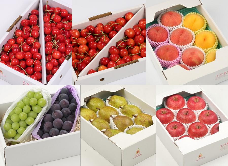 
                  08-03-044　果樹園物語(飛車＆角行プラン)全6回
                