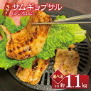 【ふるさと納税】【期間限定】サムギョプサル 約1.1kg（550g×2P） プルコギ風味 コチュジャン味付け 食べ比べセット 焼肉 BBQ デジカルビ