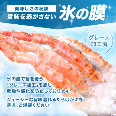 ふるさと納税 泉南市 ●★【極太メガサイズ】生たらば蟹 生肩 10L以上(約2.2kg) |  | 03