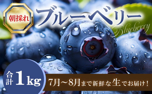 A-1220 朝採れブルーベリー