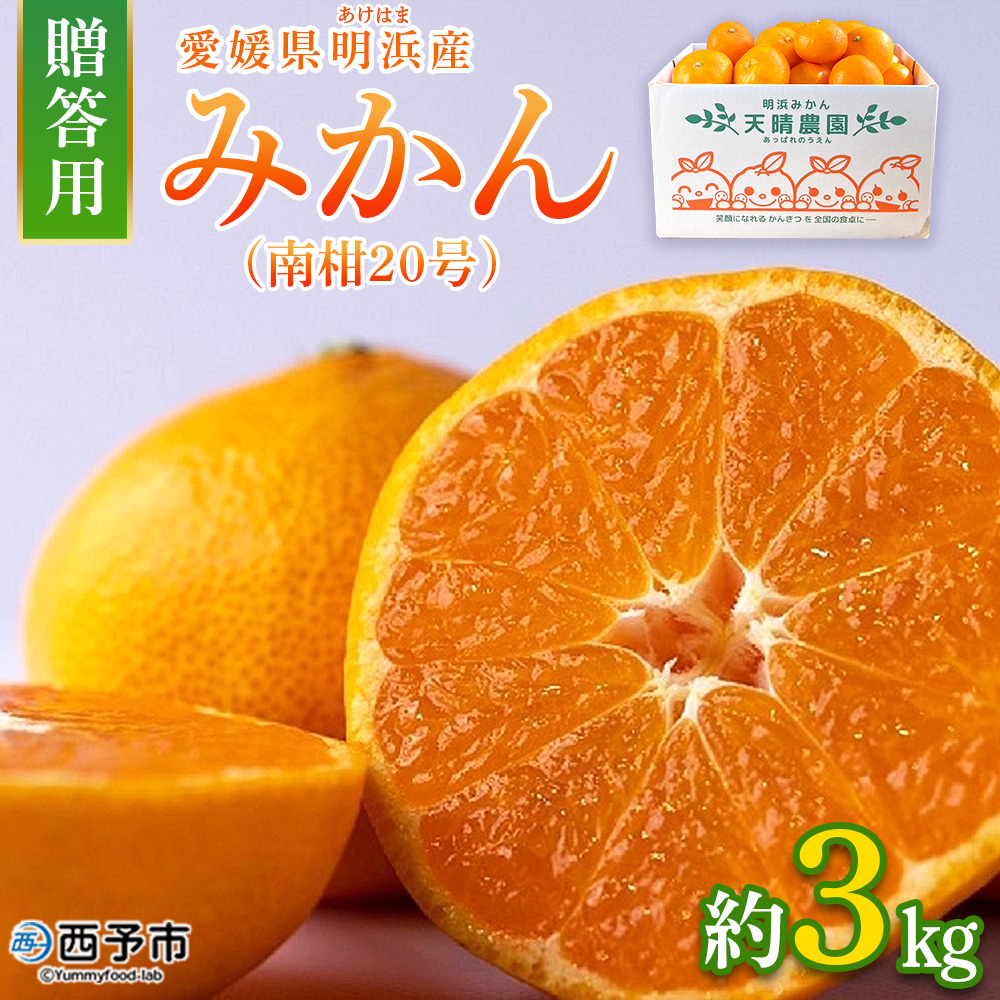 ＜みかん（南柑20号）贈答用 約3kg＞ 果物 くだもの フルーツ ミカン 柑橘 温州みかん うんしゅうみかん 贈答 ギフト プレゼント 特産品 株式会社笑丸 愛媛県 西予市