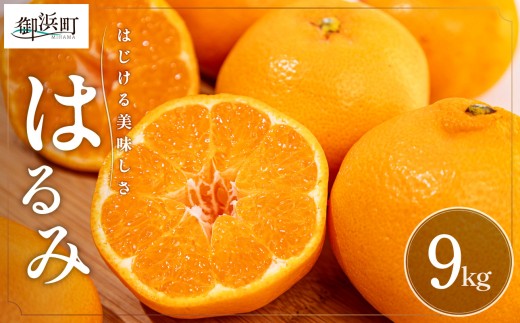 【2027年発送先行予約品】弾ける旨さ！ミカファームのはるみ9キロ【期間限定 数量限定 果物 フルーツ みかん はるみ デザート 9kg 三重県 御浜町】