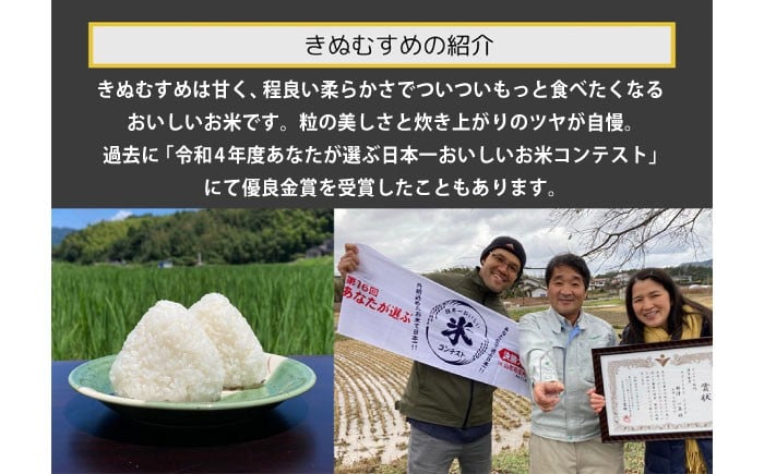 米 おこめ ごはん ご飯  おにぎり 新米 産地直送米 ブランド米 きぬむすめ 10kg 白米 こめ ライス 人気 おすすめ