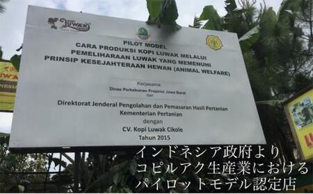 最高級コーヒー コピルアク 100g【豆状】