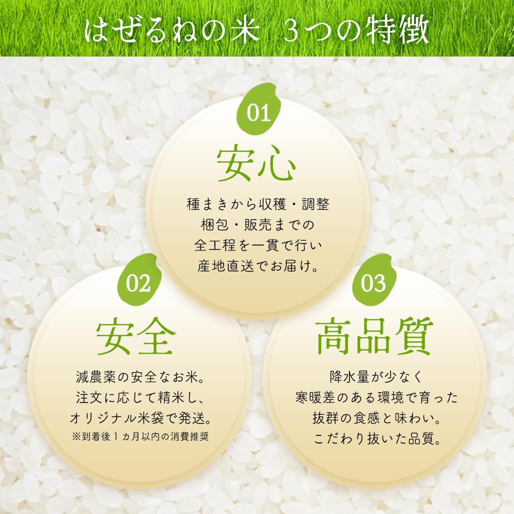 【令和7年産】三春町産コシヒカリ10kg　＜はぜるねの米＞　【07521-0112】