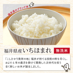 【令和7年産】定期便 ≪2ヶ月連続お届け≫ 福井県のブランド米 いちほまれ 無洗米 2kg × 2回 計4kg 【 人気 品種 ブランド米 特A 】 [A-6116]