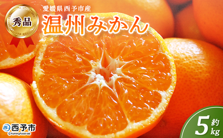 ＜西予市産 温州みかん 秀品 約5kg＞ 蜜柑 ミカン みかん 果物 フルーツ 柑橘 国産 愛媛県産 サイズおまかせ 5キロ うんしゅうみかん ウンシュウミカン 特産品 丸二青果 愛媛県 西予市【常温】『2025年11月～2026年1月迄に順次出荷予定』MMY0002