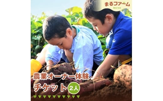 No.381 農業オーナー体験（2人分） ／ 農業体験 農業オーナー 畑体験 作物栽培 収穫体験 体験チケット 地域交流 農作業体験 季節野菜 自然体験 学び体験 家族 ファミリー 千葉県