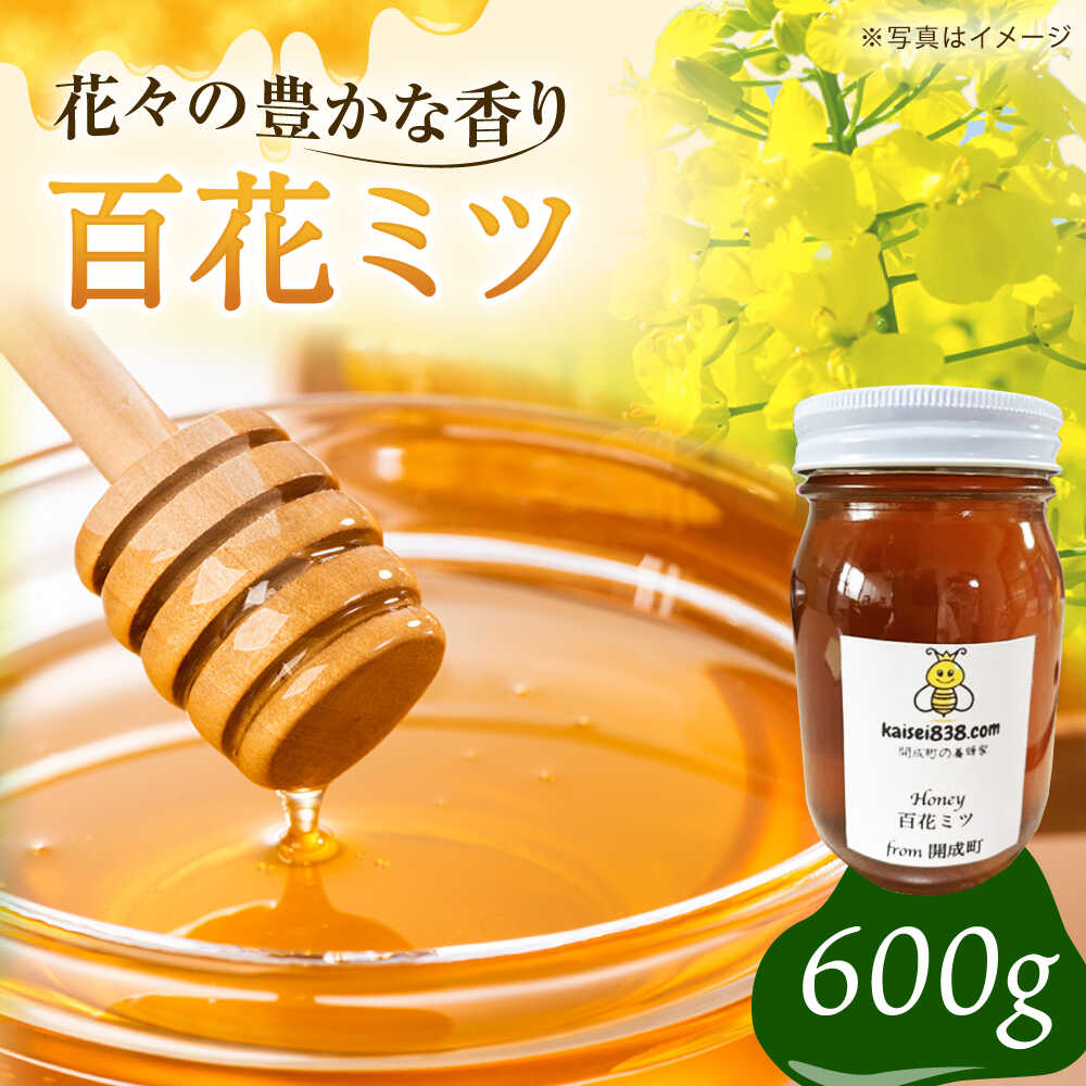 【ふるさと納税】【先行予約】開成町の百花ミツ 600g【合同会社HealthPrime】開成町 蜂蜜 はちみつ ハチミツ 百花 国産 備蓄はちみつ 国産 600g 百花蜜 甘い 調味料 純粋はちみつ 瓶詰め [BDAO002]