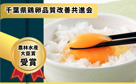 ぷりんセス・エッグ 30個『北川鶏園 房総のあおぞら農場』｜たまご タマゴ 玉子 卵 ブランドたまご 産みたて 新鮮 プレミアム プリンセスエッグ ぷりんせすえっぐ [0250ch]