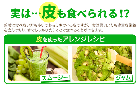 キウイ 甘うぃ 約1.5kg 南国フルーツ株式会社【26年度出荷】《10月下旬-11月末頃出荷》福岡県 小竹町 あまおう 福岡県産 キウイ フルーツ キウイフルーツ 果物