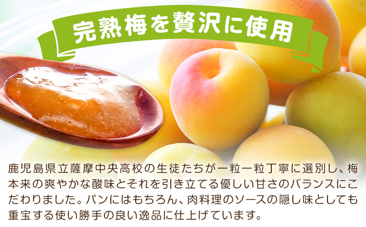 ジャム 豚味噌 セット いちご キンカン マーマレード うめ 薩摩中央高校特製 ジャム3種 (150g×各種2個) 豚味噌 (180g×2個) 計8個 さつま町観光特産品協会《30日以内に出荷予定(土