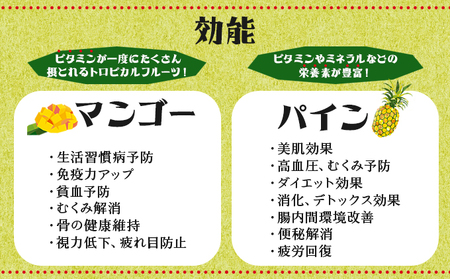 2024年 先行予約 パイン マンゴー セット トロピカルフルーツセット ますみ農園 果物