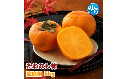 
                  【ふるさと納税】 たねなし柿 5kg 家庭用 / 柿 刀根早生 平核無柿 富有柿 ※2026年9月下旬から11月上旬に順次発送 ※北海道・沖縄・離島への配送不可  【ikd504-c-5】
                
