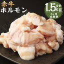 【ふるさと納税】【3ヶ月定期便】赤牛 ホルモン 合計1.5kg 250g×2パック×3回お届け 3ヶ月 定期便 小腸 シロホルモン もつ 和牛 カット済み 加熱調理用 熊本県産 九州産 国産 冷凍 送料無料