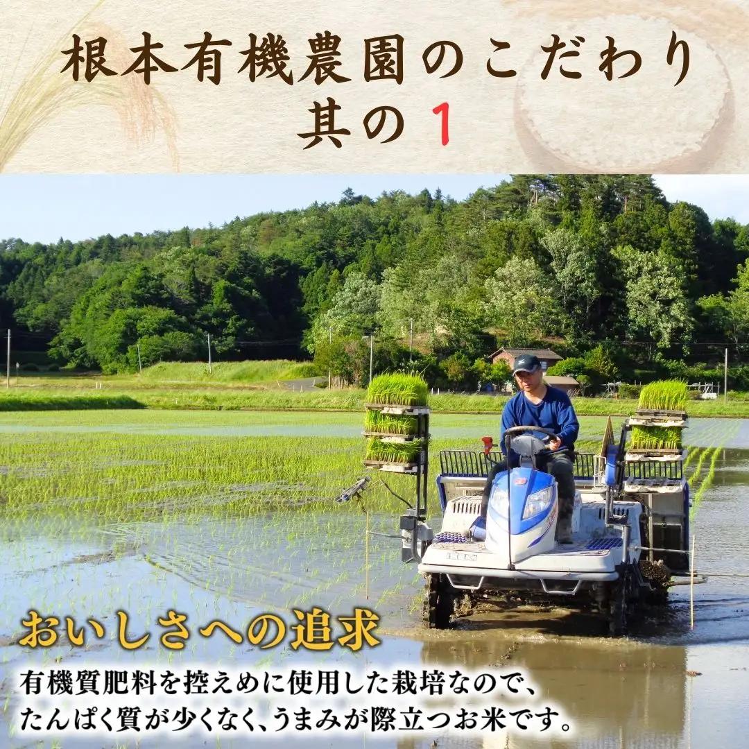 【先行予約】JAS有機米 天のつぶ 玄米5kg | 令和8年産 根本有機農園