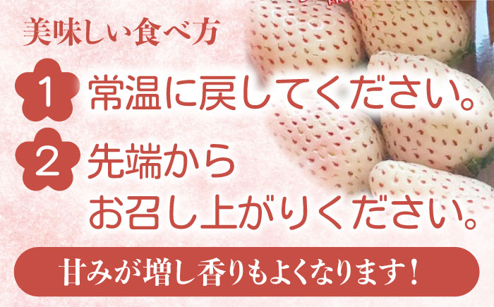 【令和6年分先行予約】【幻の白いちご】【化粧箱入り】白い宝石（贈答用）約450g / いちご 苺 白いちご フルーツ 果物 贈答用 / 佐賀県 / 手島農園 [41ABAB005]