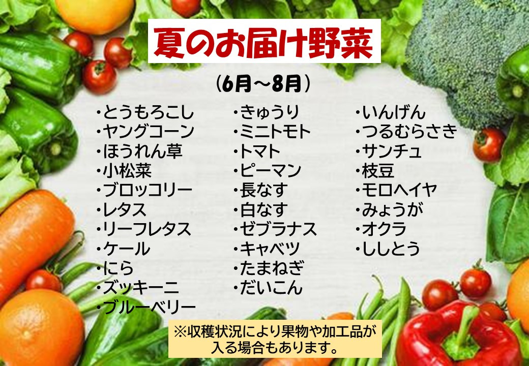 この中から7品以上発送します。※収穫状況によって果物・加工品（納豆・味噌・漬物など）が入る場合があります