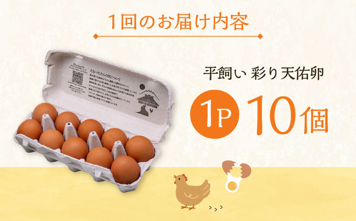 【全3回定期便】黄身の濃厚なコクと白身の甘み！たたらの里平飼い 彩り天佑卵 10個入り（10個×1P）たまご 卵 放牧卵 島根県雲南市/株式会社たなべたたらの里（たなべ森の鶏舎） [AIDL007]