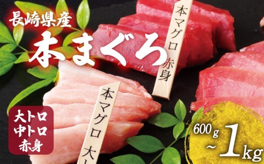 
                  長崎県産 本マグロ 大トロ 中トロ 赤身 選べる 600g ～ 1kg セット 産地直送 新鮮 刺身 柵 冷凍 真空パック 小分け タレ付き 刺身 本鮪 マグロ まぐろ 鮪 トロ 魚貝 鮮魚 海鮮丼 本家永松家 長崎県 佐世保市 A121-all
                