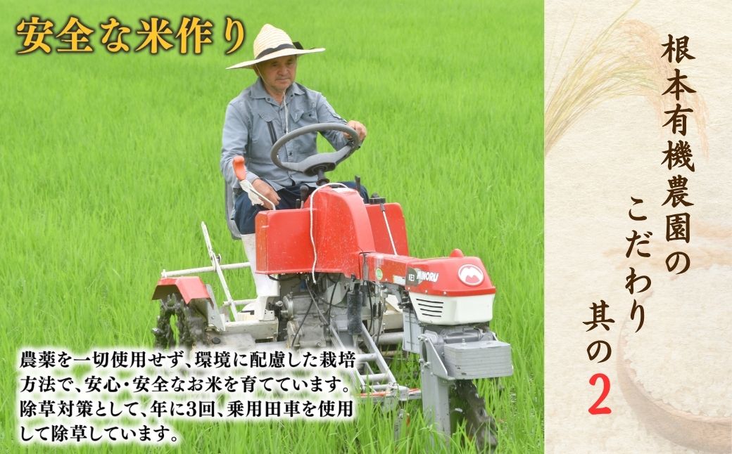 JAS有機米 コシヒカリ 天のつぶ 玄米 2kg×2種 | 令和7年産 根本有機農園 bd003-af