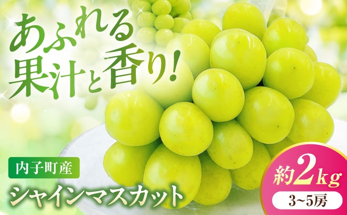 
                  シャインマスカット 【先行予約】ムジ 3～5房 約2kg ＜2026年8月下旬～発送開始＞ ／ シャインマスカット しゃいんますかっと シャイン マスカット ますかっと Shine Muscat 3～5房 皮ごと 葡萄 ブドウ ぶどう 旬 新鮮 フルーツ ふるーつ fruit 果物 くだもの 果実 人気 愛媛県 愛媛県産 内子町産 国産 【株式会社フジ・アグリフーズ】 [BKAY004]
                