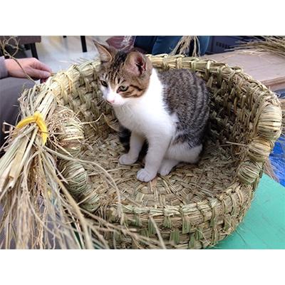 ふるさと納税 甲賀市 信楽産　稲わら製 【猫ちぐらH】 |  | 02