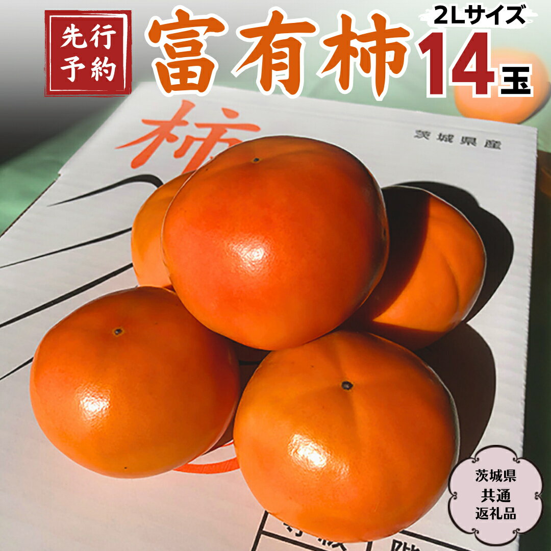 【ふるさと納税】【 先行予約 2025年11月中旬以降発送 】富有柿 2L 14玉 (茨城県共通返礼品 石岡市) 果物 くだもの フルーツ 柿 かき