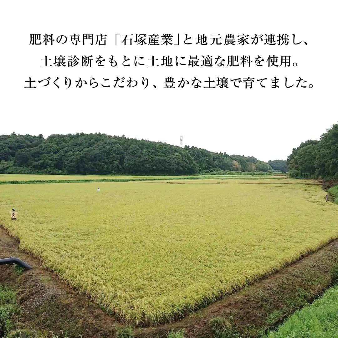 【 令和7年産 】 【 3ヶ月 定期便 】 極上ふるさと米 精米 10kg × 3回 ( 合計 30kg ) (茨城県共通返礼品 かすみがうら市) スピード 最短 7日 すぐ届く すぐ発送 スピード発