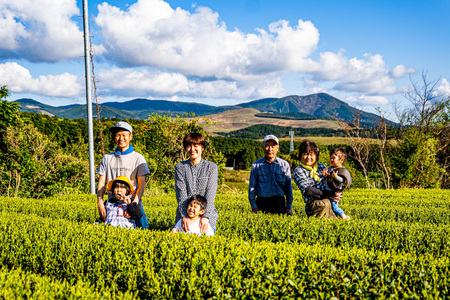 お茶 緑茶 そのぎ茶3種セット 各100g