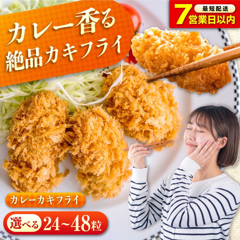 【ふるさと納税】【楽天限定/スピード発送/選べる配送月】【選べる容量】冷凍 カキフライ (カレー) 冷凍カキフライ 広島牡蠣 牡蠣 かき カキ 料理 簡単 魚介類 海鮮 ギフト カキフライ 人気 おすすめ 大粒 ジューシー 簡単調理 送料無料 福山市/クニヒロ株式会社[BACG004]