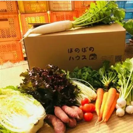 【畑から直送】岡山美作産　旬を楽しみ味覚を育む野菜約8種(約5kg)_野菜 玉ねぎ  たまねぎ タマネギ  野菜 じゃがいも いも ジャガイモ 馬鈴薯  野菜 さつまいも いも サツマイモ 薩摩芋  