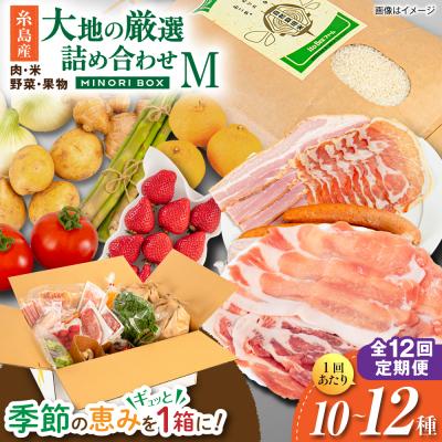 ふるさと納税 糸島市 全12回定期便 糸島産 肉 米 野菜 果物 厳選詰め合わせ MINORI BOX M[AOP014]