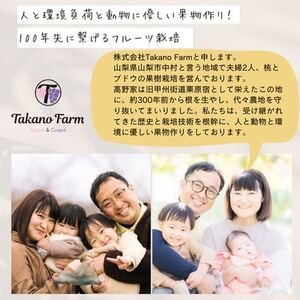 【2025年先行受付】【贈答用】完熟収穫桃 約1kg 山梨県産 自社農園産直!【配送不可地域：離島】【1580902】