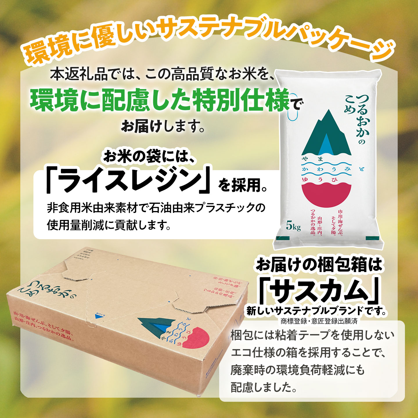 【令和7年産】はえぬき 精米 10kg (5kg×2袋)　山形県産 | 5キロ 白米 食品 ご飯 ごはん 美味しい おいしい ブランド米 エコ包装 おすすめ 人気 山形県 鶴岡市 東北 国産 お取り寄