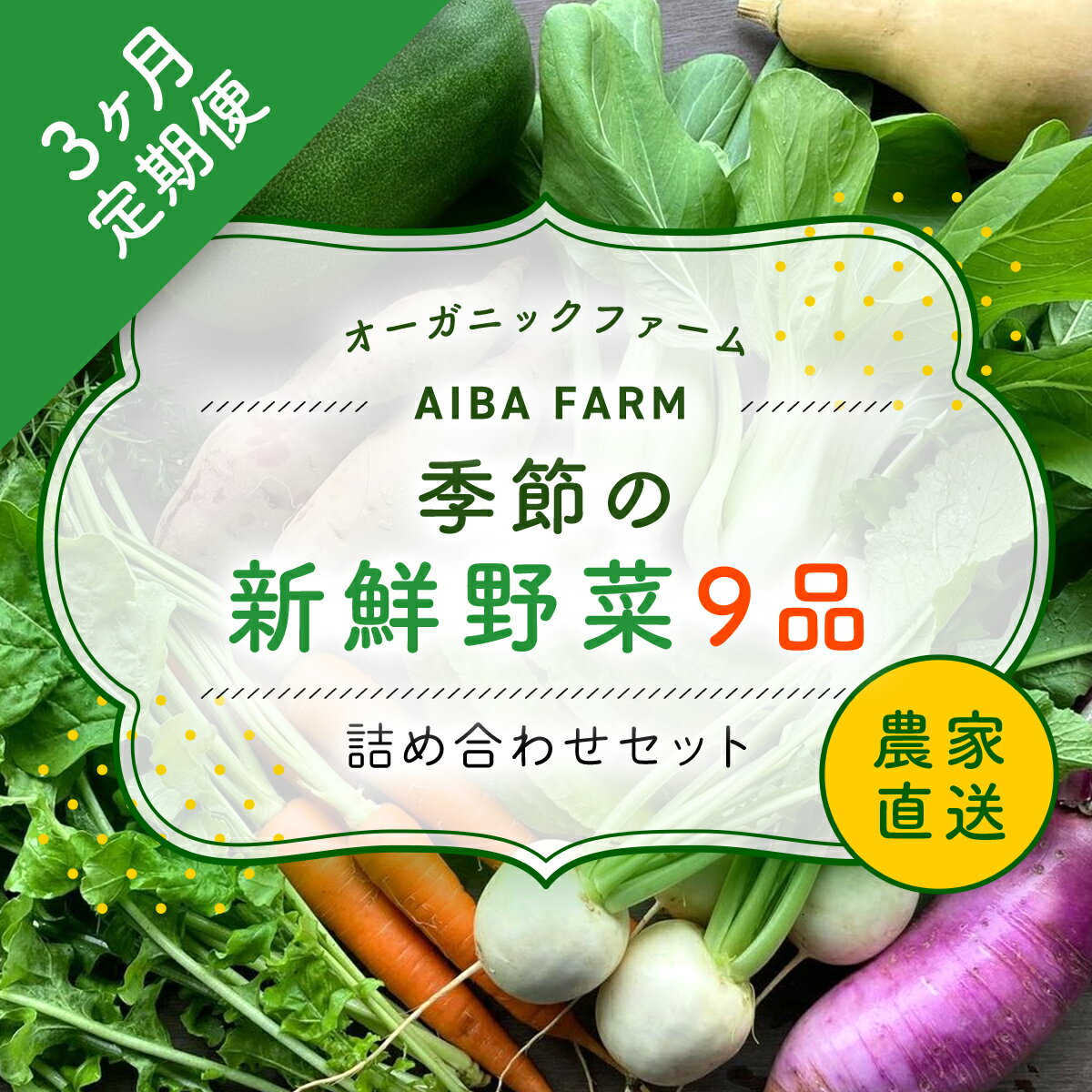 【ふるさと納税】 【3ヶ月 定期便】【栽培期間中農薬不使用】農家直送！季節の新鮮野菜「9品」詰め合わせセット オーガニックファーム AIBA FARM 野菜セット 無農薬 野菜 千葉県 富里市 直送野菜 お野菜セット 旬野菜 季節野菜 農家直送 採れたて とれたて やさい TML002
