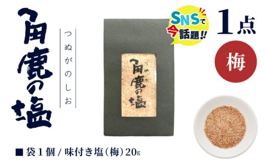福井梅をたっぷり使用！角鹿の塩 小袋 20g【敦賀 塩 しお 粗塩 天然塩 天日塩 釜炊き 梅 味つき 調味料 ミネラル おにぎり ご飯のお供 お中元 お歳暮 ギフト 贈り物 プレゼント】[080-a009]