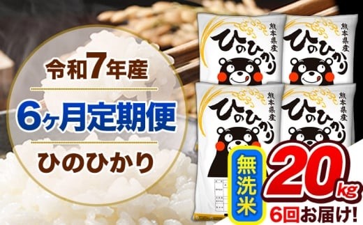 【6ヶ月定期便】 令和7年産 定期便 無洗米 ひのひかり20kg 《お申込み翌月から出荷》令和7年産 熊本県産 ふるさと納税 精米 ひの 米 こめ ふるさとのうぜい ヒノヒカリ コメ 熊本米 ひのもり