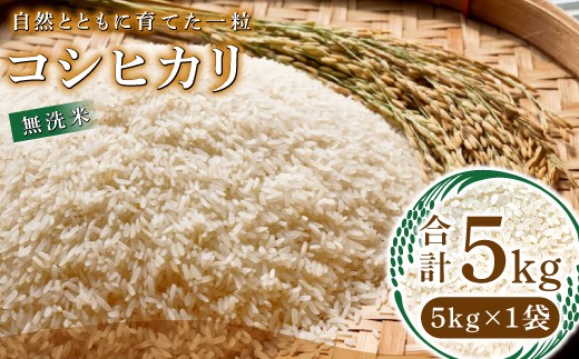 
                  【数量限定】自然とともに育てた一粒コシヒカリ 無洗米 5kg
                