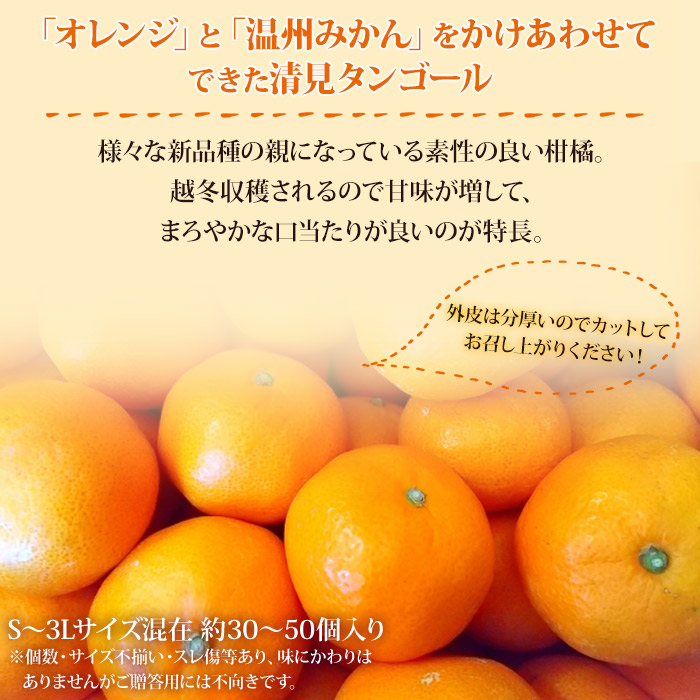 ＜愛媛県西予市産 清見タンゴール ご家庭用 約7kg＞ 訳あり ワケアリ 果物 フルーツ みかん ミカン オレンジ きよみ キヨミ 柑橘 愛媛県 西予市